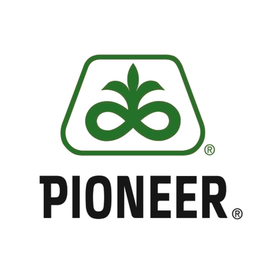 Pioneer